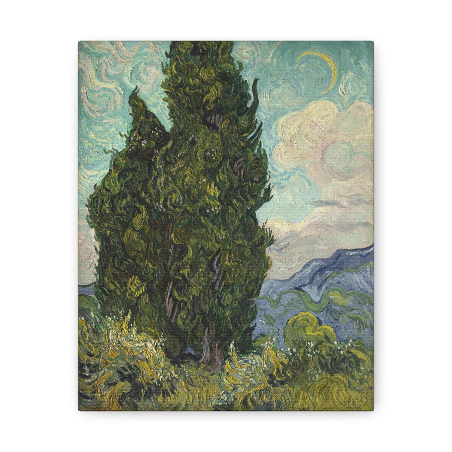 Cypresses by Vincent Van Gogh - Canvas Print